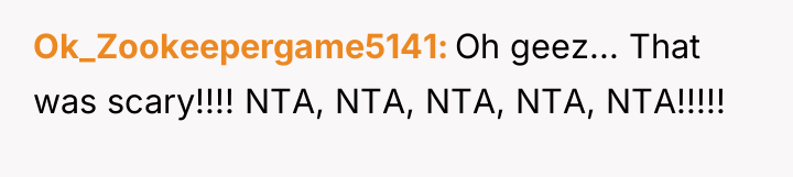 Ok_Zookeepergame5141 Oh geez... That was scary!!!! NTA, NTA, NTA, NTA,...