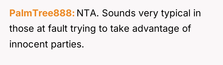 PalmTree888 NTA. Sounds very typical in those at fault trying...