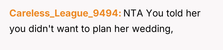 Careless_League_9494 NTA You told her you didn't want to plan...