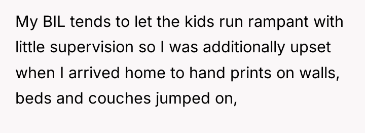 My BIL tends to let the kids run rampant with...