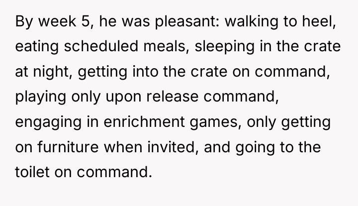 By week 5, he was pleasant: walking to heel, eating...