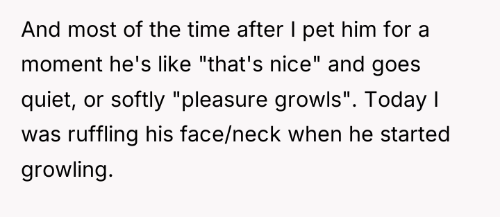 And most of the time after I pet him for...