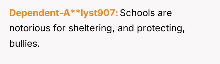 Dependent-A**lyst907 Schools are notorious for sheltering, and protecting, bullies.