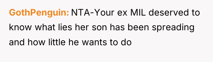 GothPenguin NTA-Your ex MIL deserved to know what lies her...