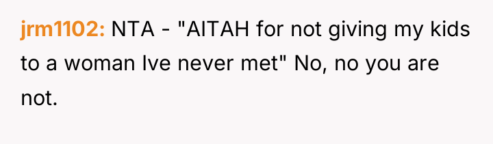 jrm1102 NTA - "AITAH for not giving my kids to...