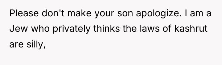 Please don't make your son apologize. I am a Jew...