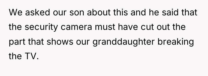 We asked our son about this and he said that...