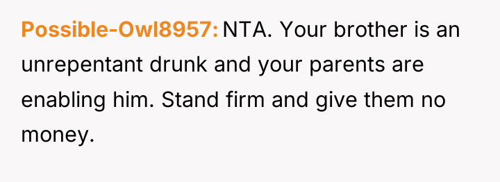 Possible-Owl8957 NTA. Your brother is an unrepentant drunk and your...