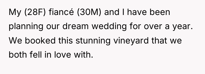 My (28F) fiancé (30M) and I have been planning our...