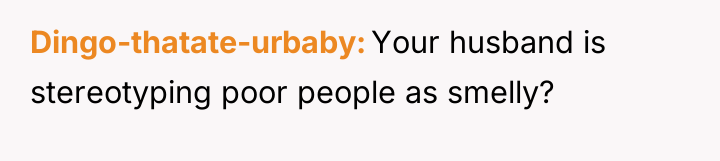 Dingo-thatate-urbaby Your husband is stereotyping poor people as smelly?
