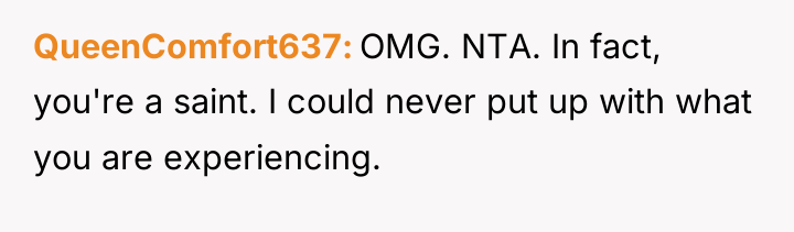 QueenComfort637 OMG. NTA. In fact, you're a saint. I could...