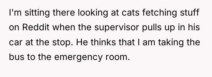 I'm sitting there looking at cats fetching stuff on Reddit...