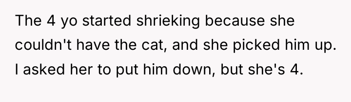 The 4 yo started shrieking because she couldn't have the...