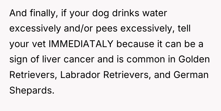 And finally, if your dog drinks water excessively and/or pees...