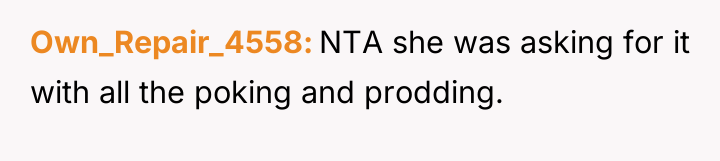 Own_Repair_4558 NTA she was asking for it with all the...