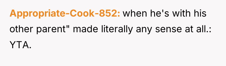 Appropriate-Cook-852 when he's with his other parent" made literally any...