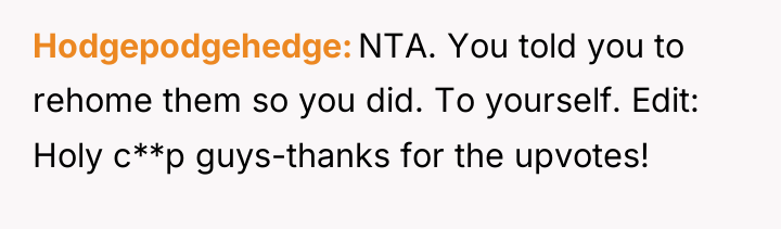 Hodgepodgehedge NTA. You told you to rehome them so you...