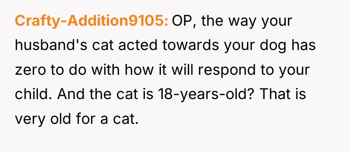 Crafty-Addition9105 OP, the way your husband's cat acted towards your...