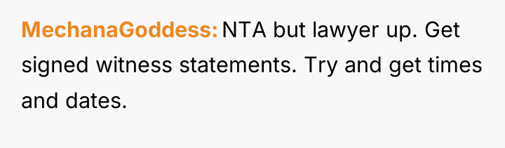 MechanaGoddess NTA but lawyer up. Get signed witness statements. Try...