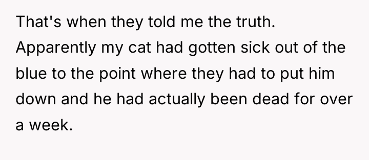 That's when they told me the truth. Apparently my cat...