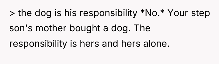 > the dog is his responsibility *No.* Your step son's...