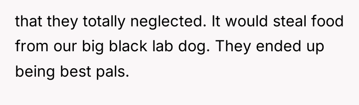that they totally neglected. It would steal food from our...