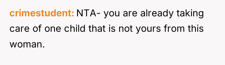 crimestudent NTA- you are already taking care of one child...