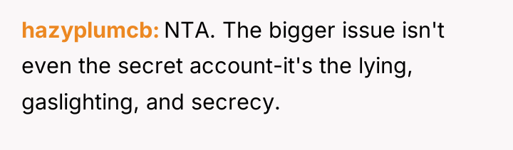 hazyplumcb NTA. The bigger issue isn't even the secret account-it's...