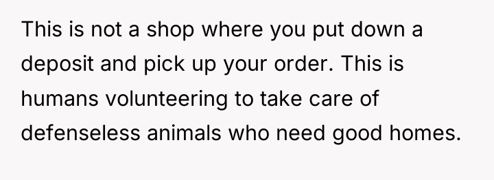 This is not a shop where you put down a...