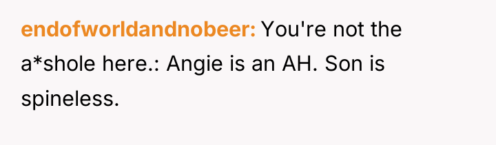 endofworldandnobeer You're not the a*shole here.: Angie is an AH....