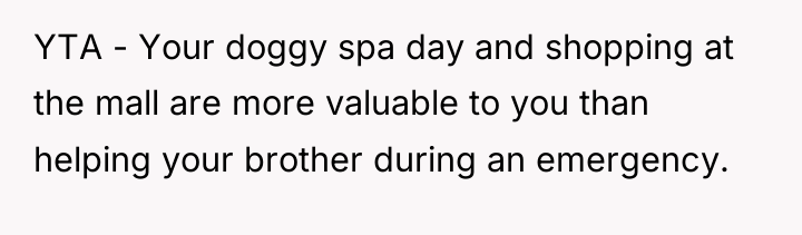 YTA - Your doggy spa day and shopping at the...