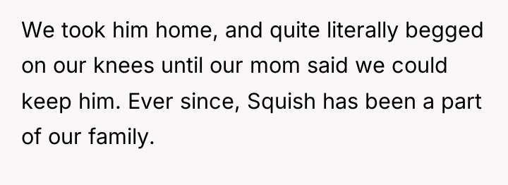 We took him home, and quite literally begged on our...