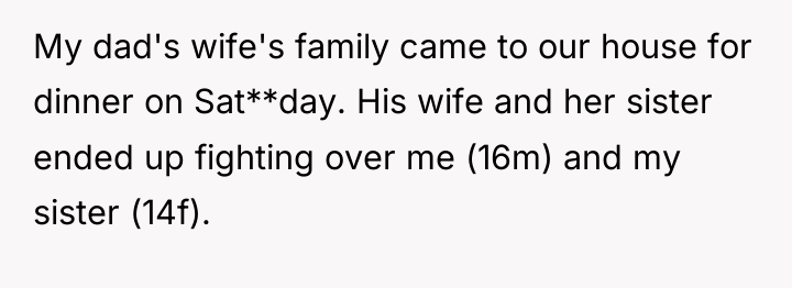 My dad's wife's family came to our house for dinner...