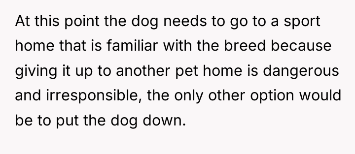 At this point the dog needs to go to a...