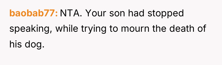 baobab77 NTA. Your son had stopped speaking, while trying to...