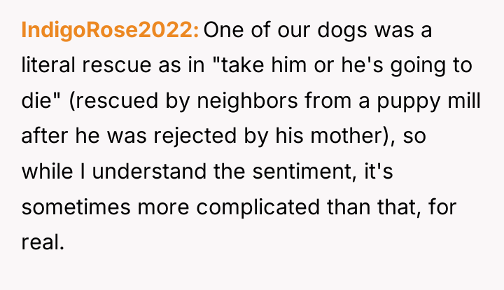IndigoRose2022 One of our dogs was a literal rescue as...