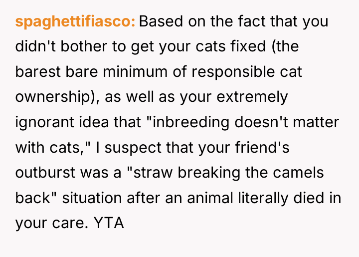 spaghettifiasco Based on the fact that you didn't bother to...