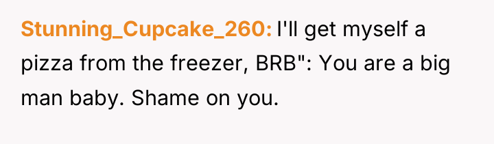 Stunning_Cupcake_260 I'll get myself a pizza from the freezer, BRB":...