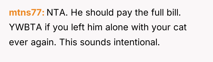mtns77 NTA. He should pay the full bill. YWBTA if...