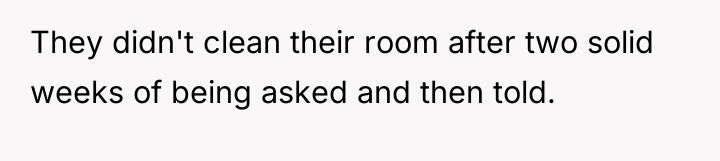 They didn't clean their room after two solid weeks of...