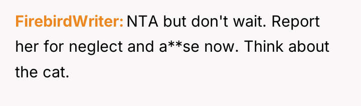 FirebirdWriter NTA but don't wait. Report her for neglect and...