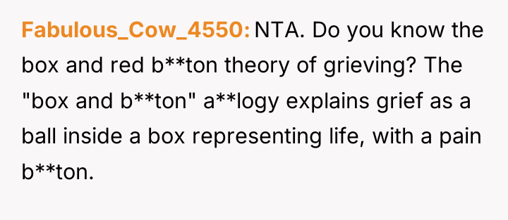 Fabulous_Cow_4550 NTA. Do you know the box and red b**ton...