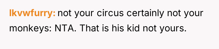 lkvwfurry not your circus certainly not your monkeys: NTA. That...