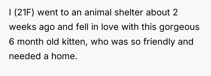 I (21F) went to an animal shelter about 2 weeks...