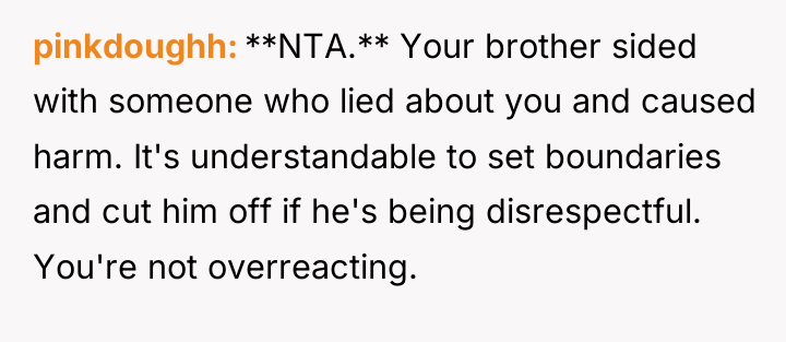 pinkdoughh **NTA.** Your brother sided with someone who lied about...