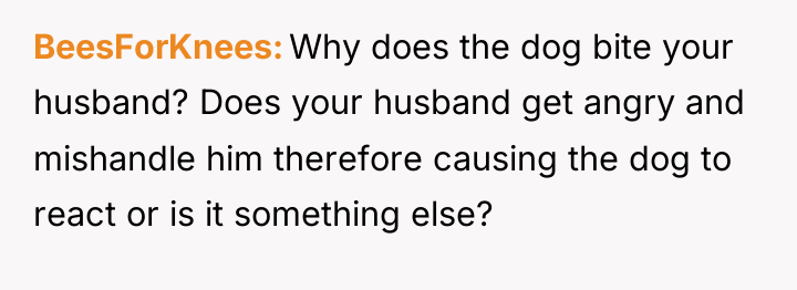 BeesForKnees Why does the dog bite your husband? Does your...