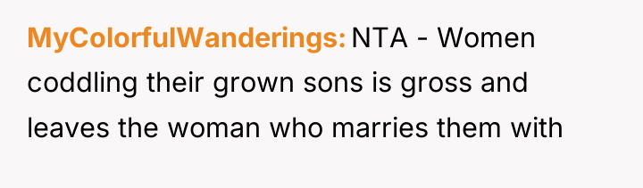MyColorfulWanderings NTA - Women coddling their grown sons is gross...