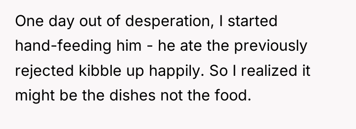 One day out of desperation, I started hand-feeding him -...