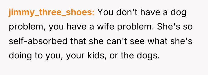 jimmy_three_shoes You don't have a dog problem, you have a...