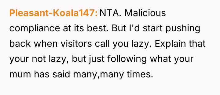 Pleasant-Koala147 NTA. Malicious compliance at its best. But I'd start...